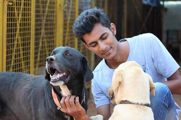 From Strays to Stars: How Haris Ali’s Sarvoham Animal Foundation is rescuing and rehabilitating Bengaluru's street dogs